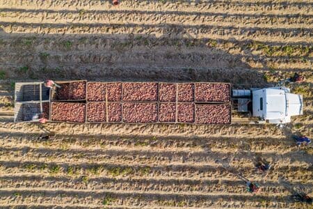 Transporte agrícola de productos a granel